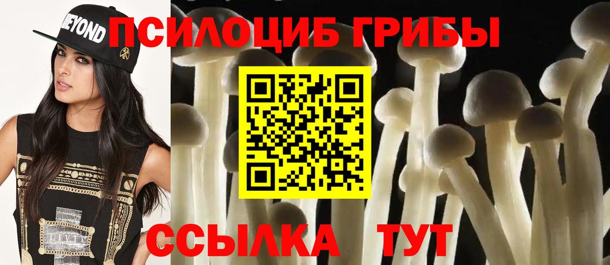 Галлюциногенные грибы ЛСД  Галлюциногенные грибы Magic Shrooms  Таганрог  Вход с VPN 