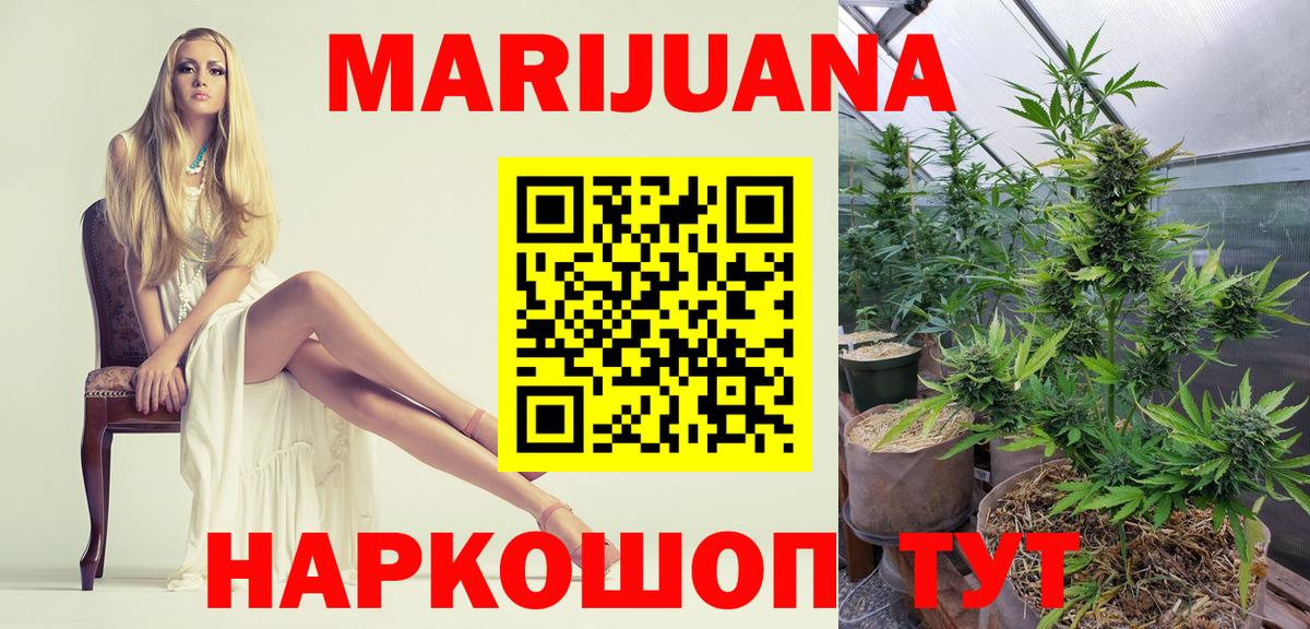Каннабис план  Бошки Шишки ГИДРОПОН  Бошки марихуана VHQ  Вход с VPN  Конопля сатива  Таганрог 